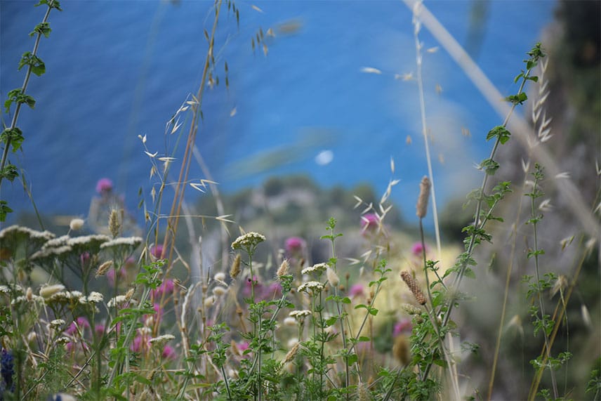 Hiking Italy's Path Of The Gods | Travel Inspiration | Italy | Anydoko