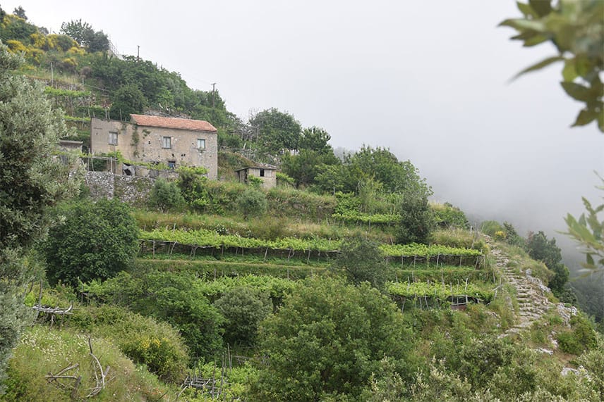 Hiking Italy's Path Of The Gods | Travel Inspiration | Italy | Anydoko