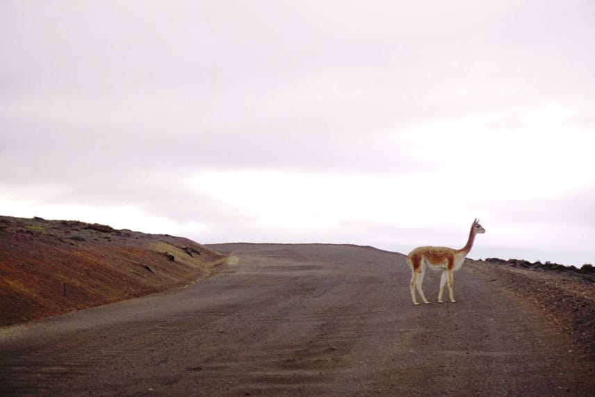 VOLCANOES OF ECUADOR | Ecuador Travel Inspiration | Travel Videos | Destination Guides | ANYDOKO