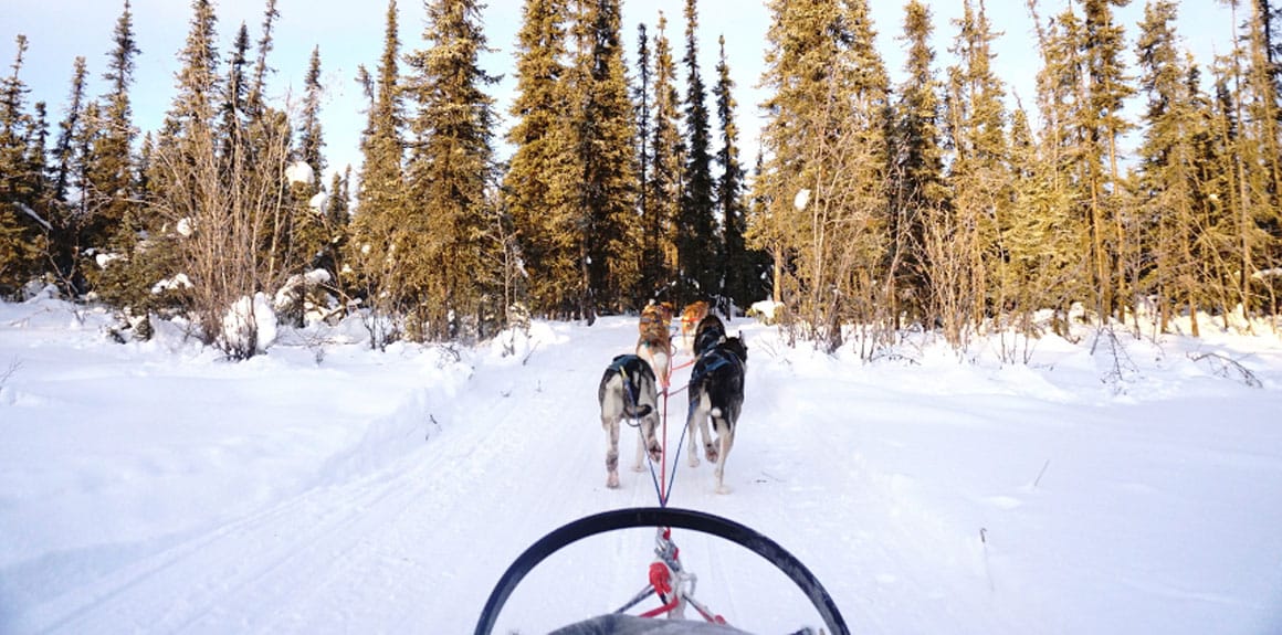 A Winter Wonderland In Alaska Post feature image