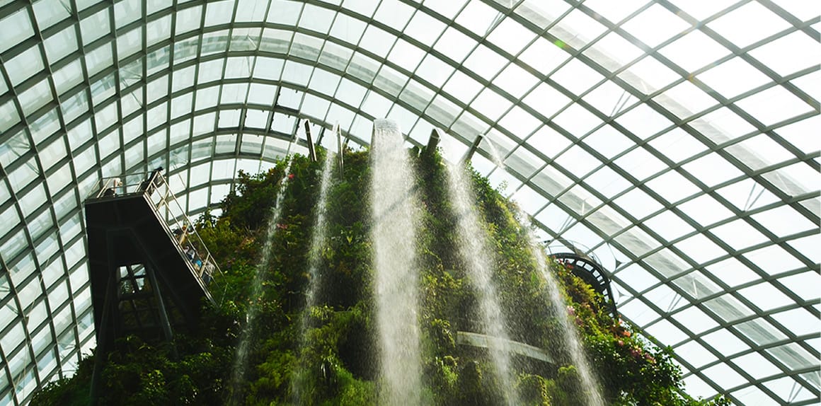 Cloud Forest Singapore Post feature image