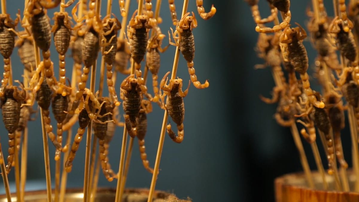 Fried Scorpions In Beijing Post feature image