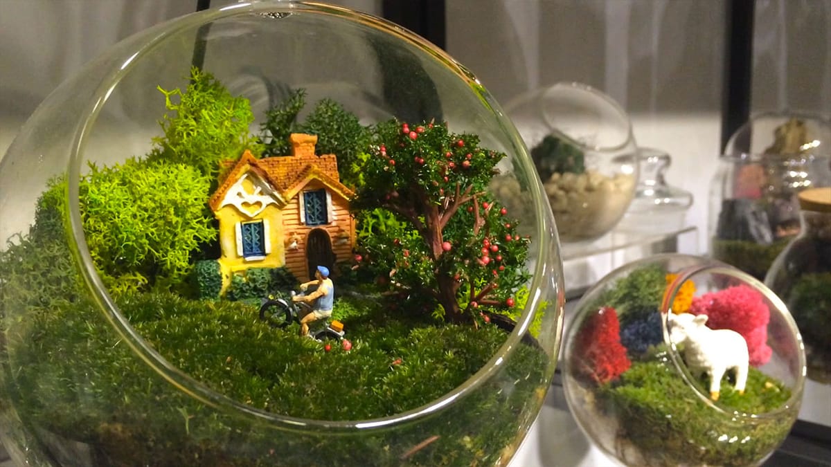 Terrarium Workshop In Kwun Tong Post feature image