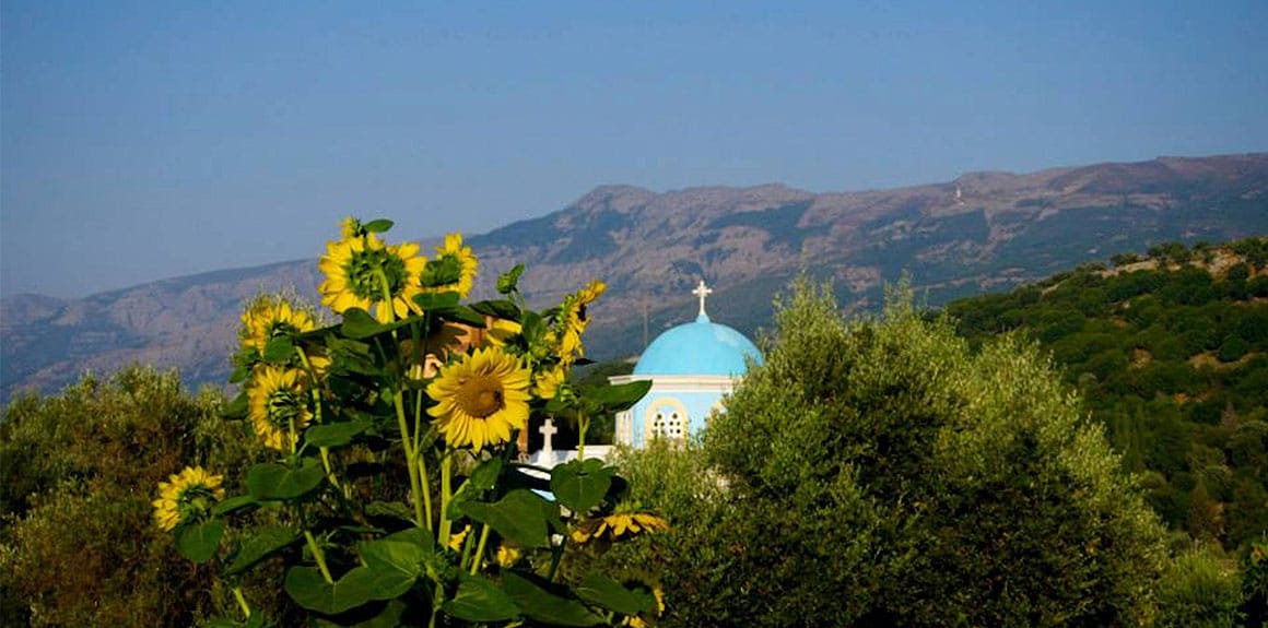 Ikaria: The Fountain Of Youth Post feature image